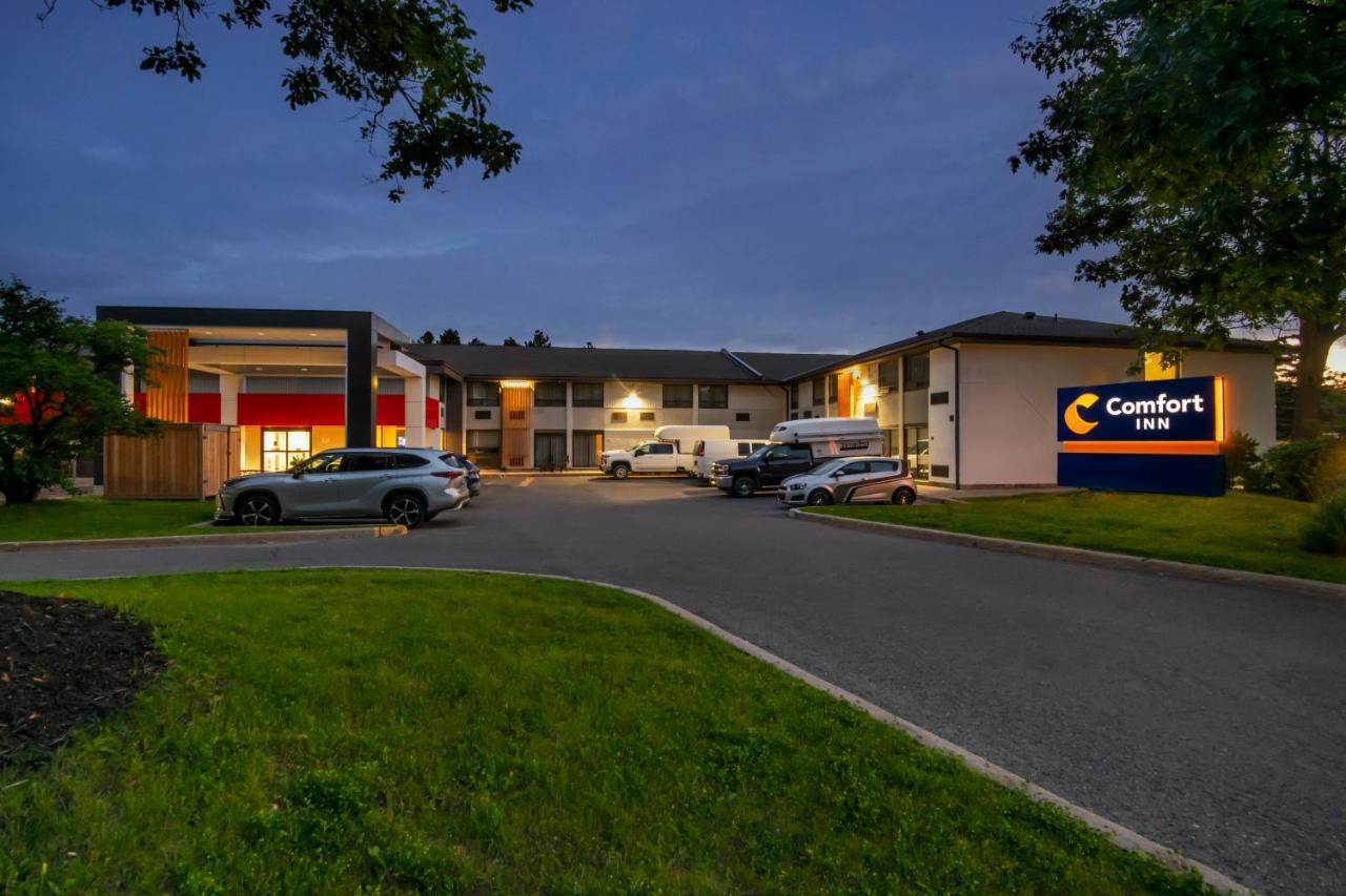 Comfort Inn West Ottawa Eksteriør billede