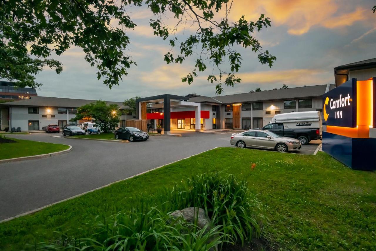 Comfort Inn West Ottawa Eksteriør billede